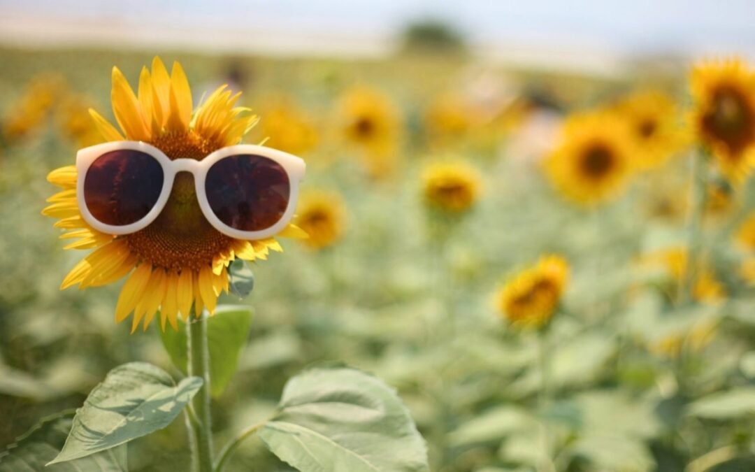 Screen-Free Summer Fun: 10 Ideas to Keep Kids Busy